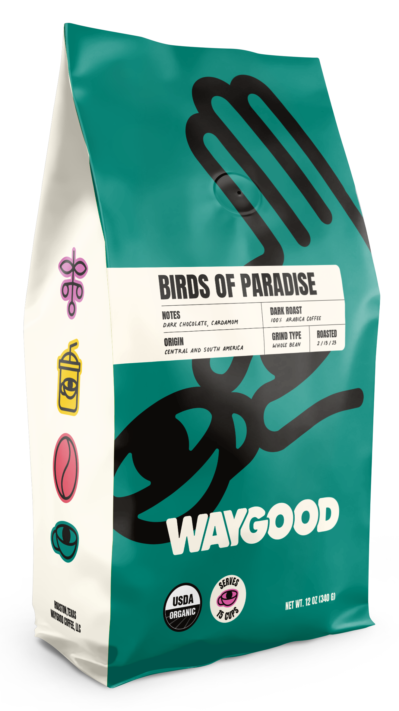 BIRDS OF PARADISE